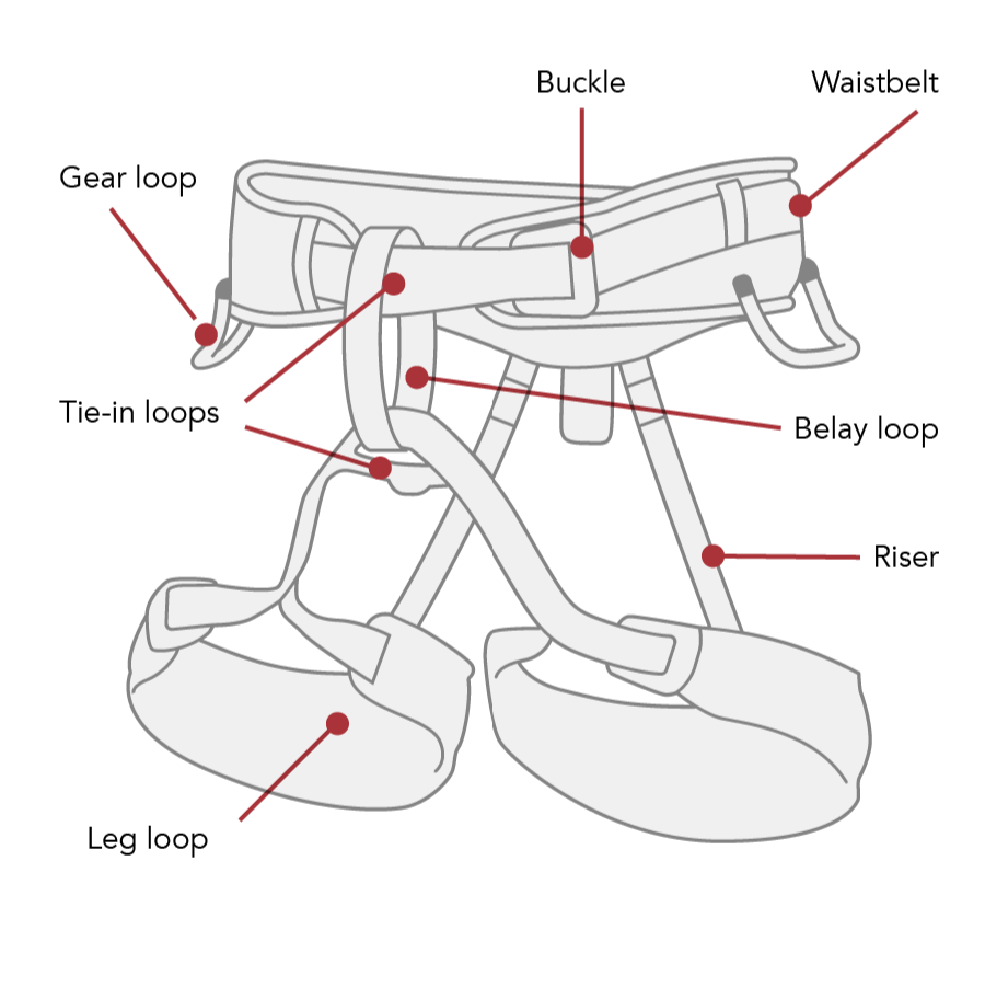 labelled diagram of a climbing harness