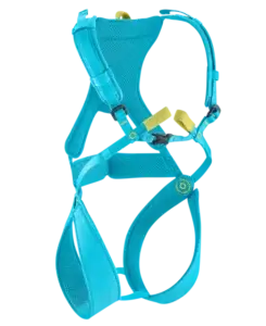image of a small body harness