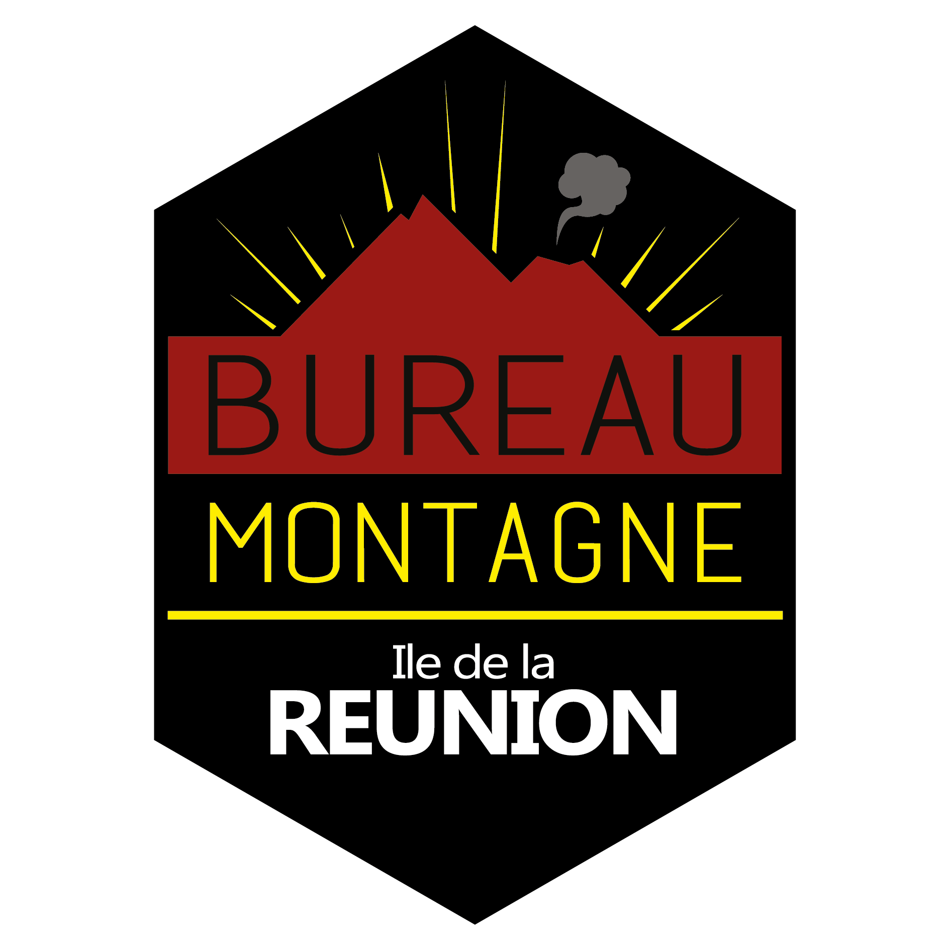 Bureau Montagne Réunion - Logo