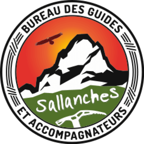 Compagnie Des Guides Sallanches - Logo