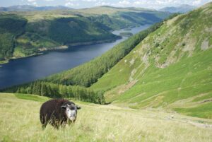 Lake District Mountains