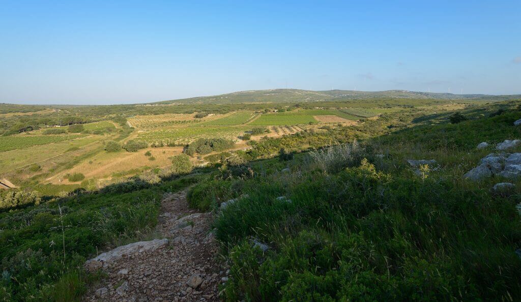 Randonnée Montpellier - Collines de la Moures