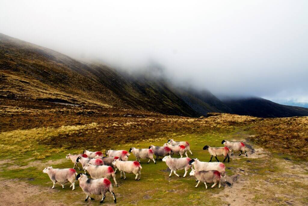 Slieve Donard: The highest peak in the Northern Irelands