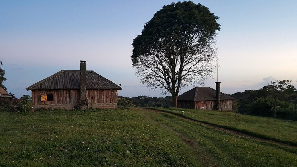 Mount Kenya National Park