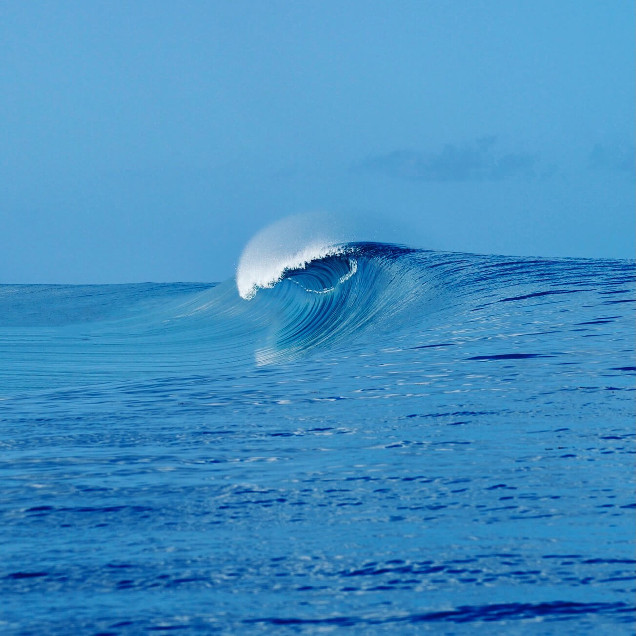 Surfrider Foundation hero