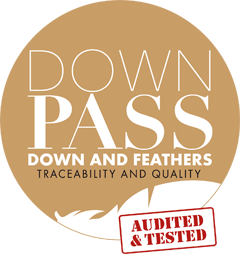 Downpass Logo