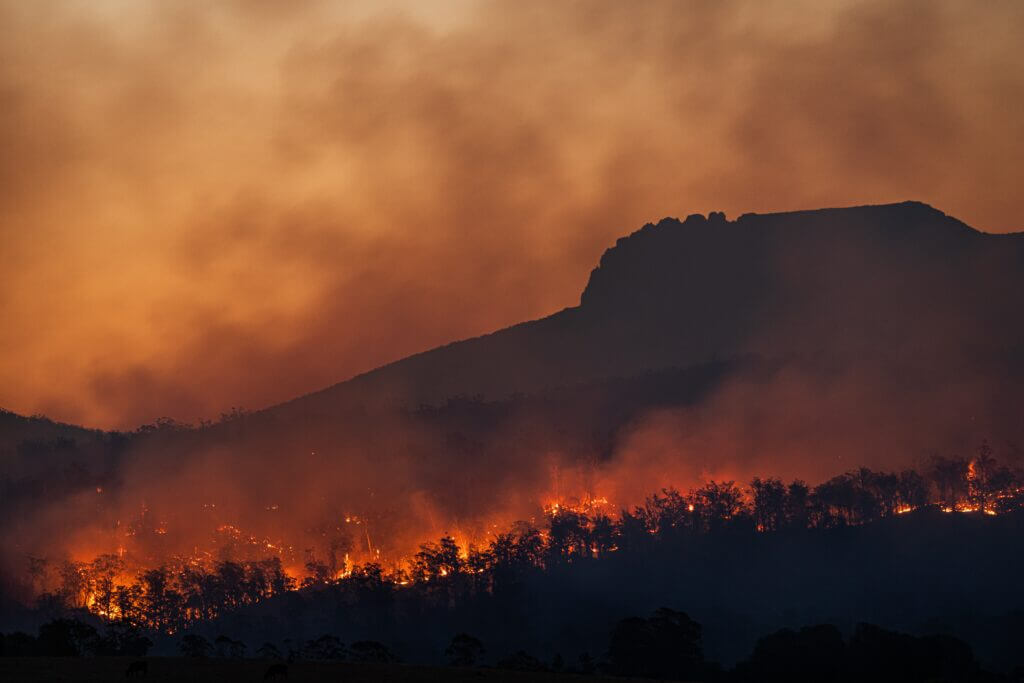 Fires, Australia - © Matt Palmer on Unsplash