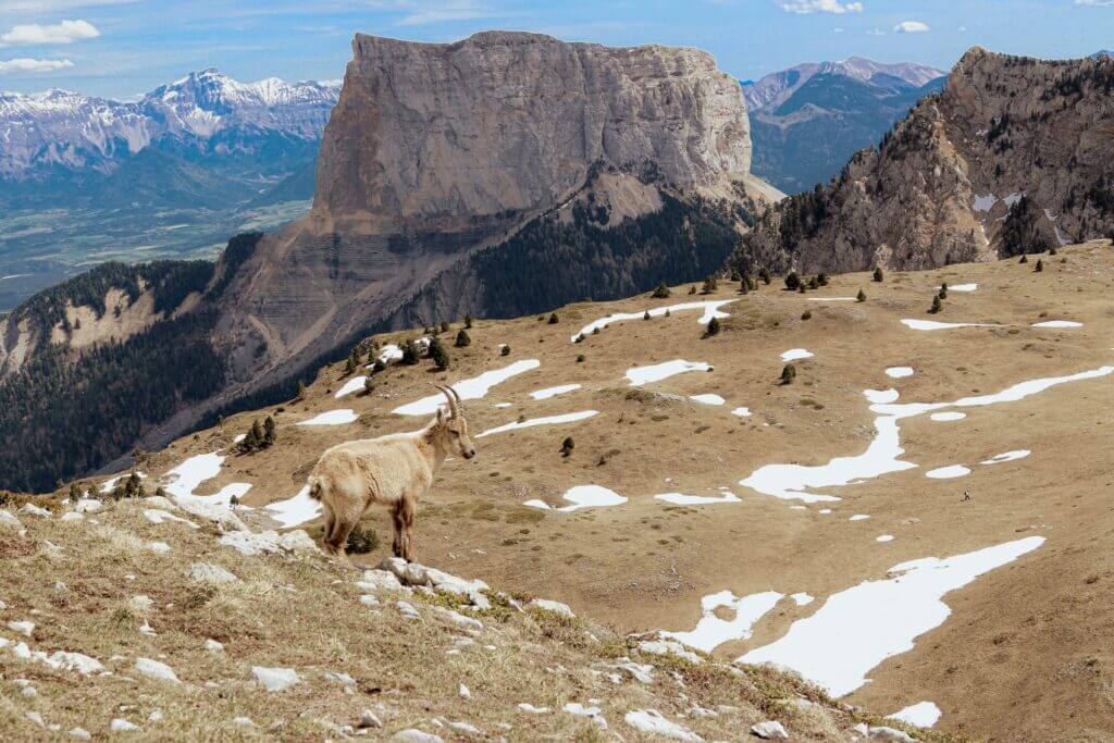 Mont Aiguille Vercors vue de près.