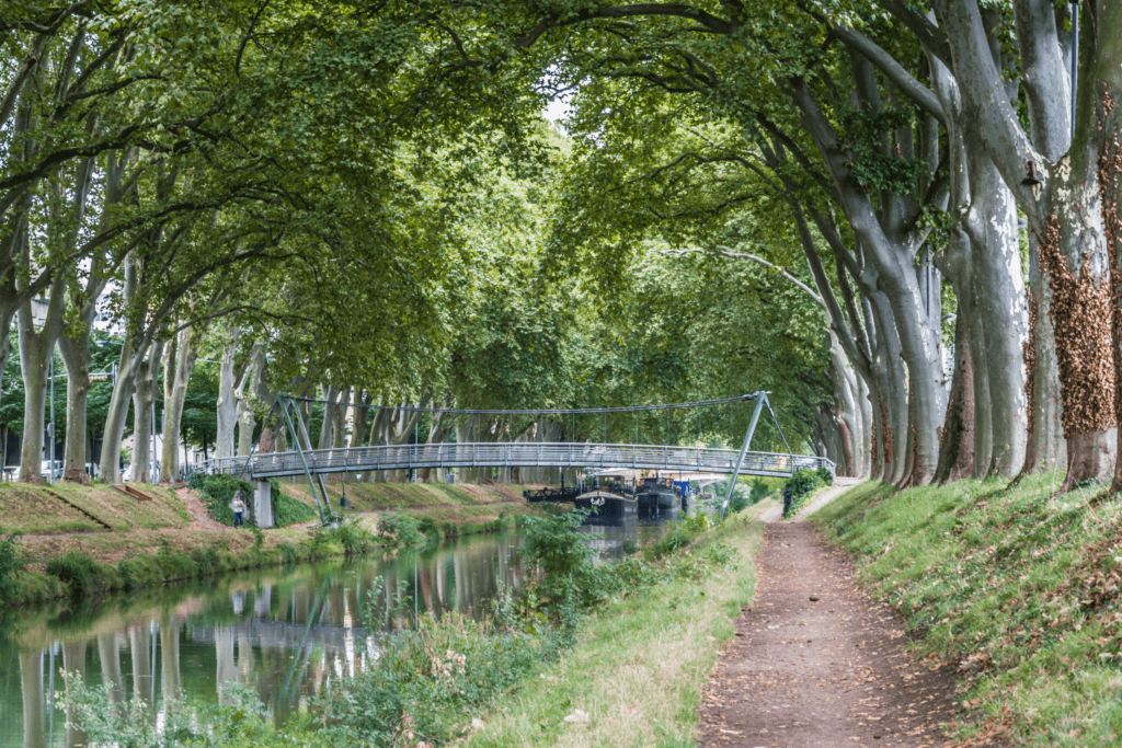 Randonnée à Toulouse.