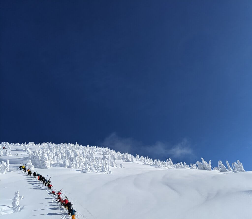 Revelstoke, BC, Canada - © Zacharie Metcalfe, Unsplash